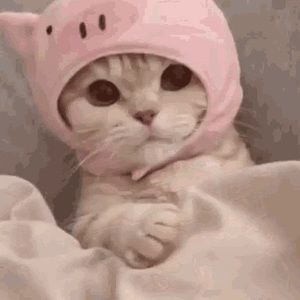 Meet your Posher, O.o